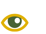 vision